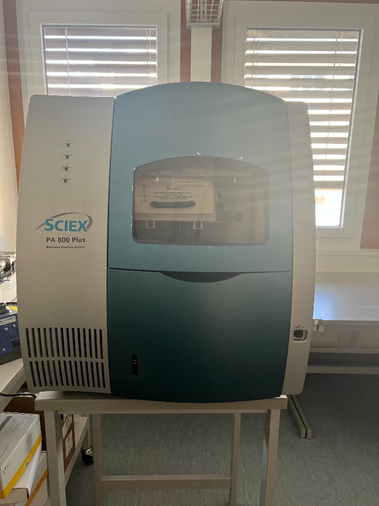 Image of Sciex PA 800 Plus Capillary Electrophoresis